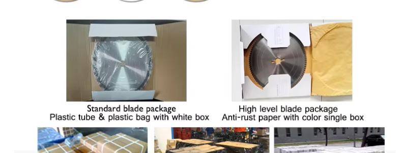 1723252002719726.jpg 锯片_18.jpg