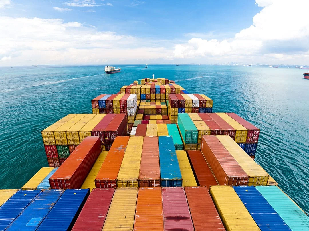 1726531213291297.jpg 9.-Packing-And-Delivery-2.jpg